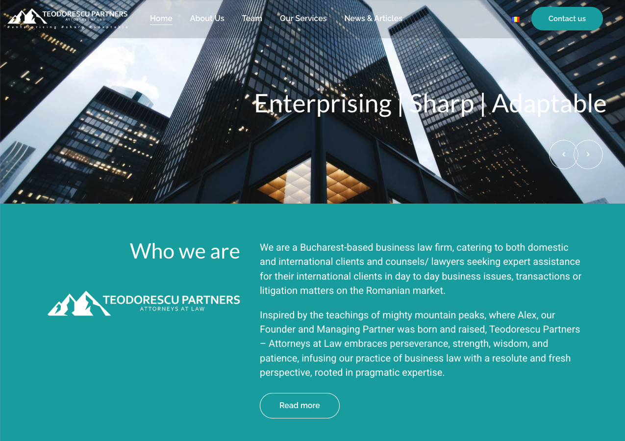 Teodorescu Partners